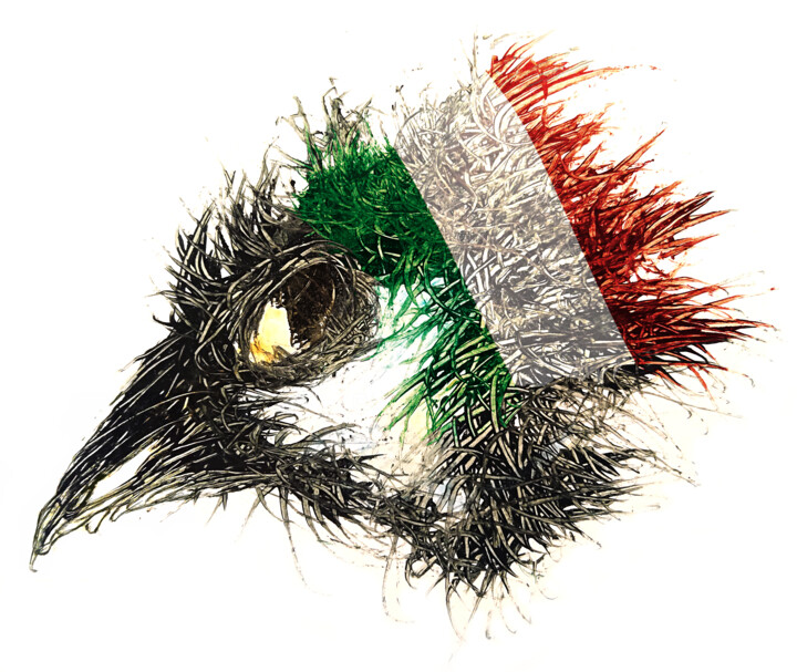 Pandemi Bird Italien 数字艺术