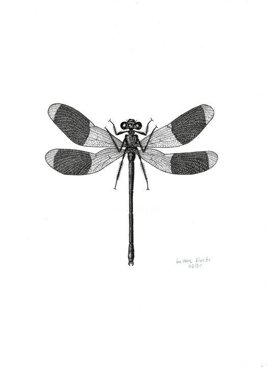 Drawing titled "INSETO Nº 2" by Guilherme Almeida, Original Artwork, Ink