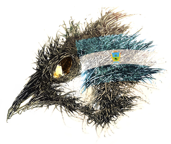 Pandemi Bird La Pampa 数字艺术