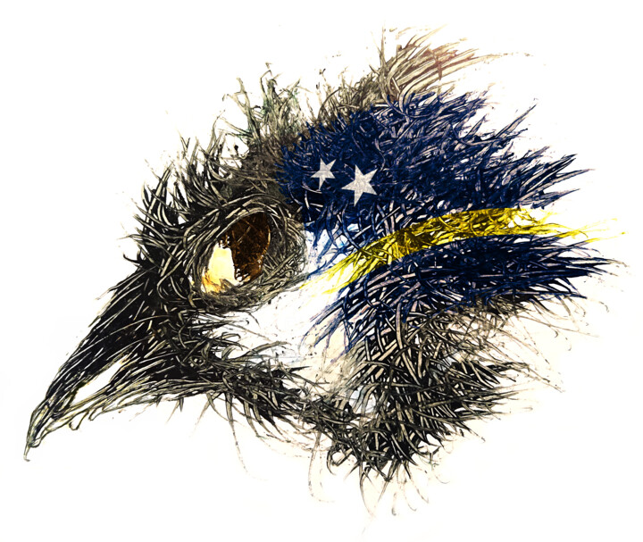 Pandemi Bird Curacao 数字艺术