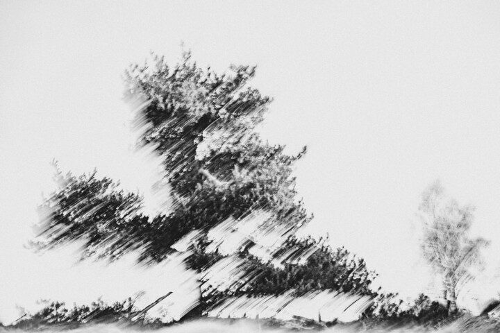 Aubrac 20.02.22 摄影, 11.7x17.6 in