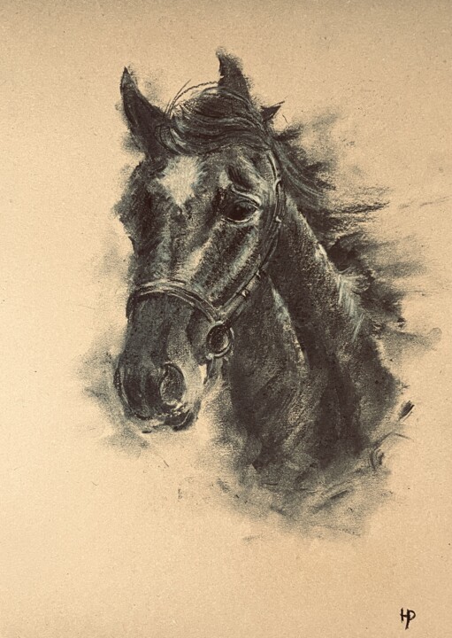 Portrait of a horse 2 图画, 16.5x11.7 in