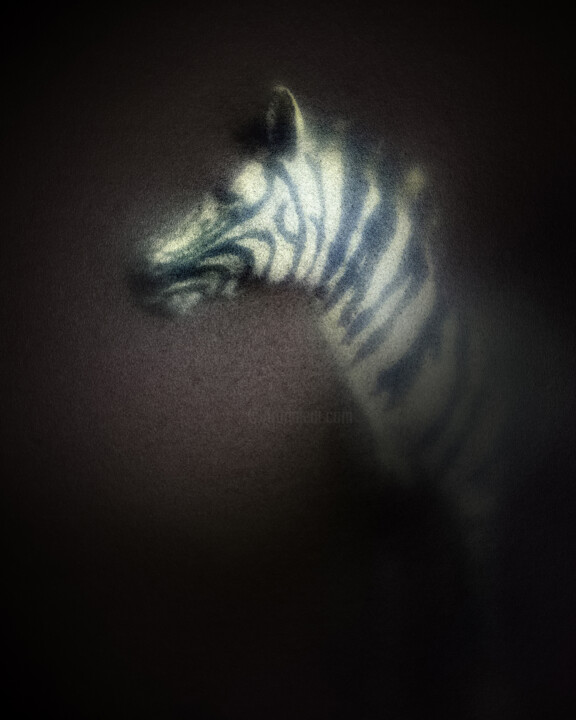 Bestiaire #5 Photography, 19.7x15.8 in