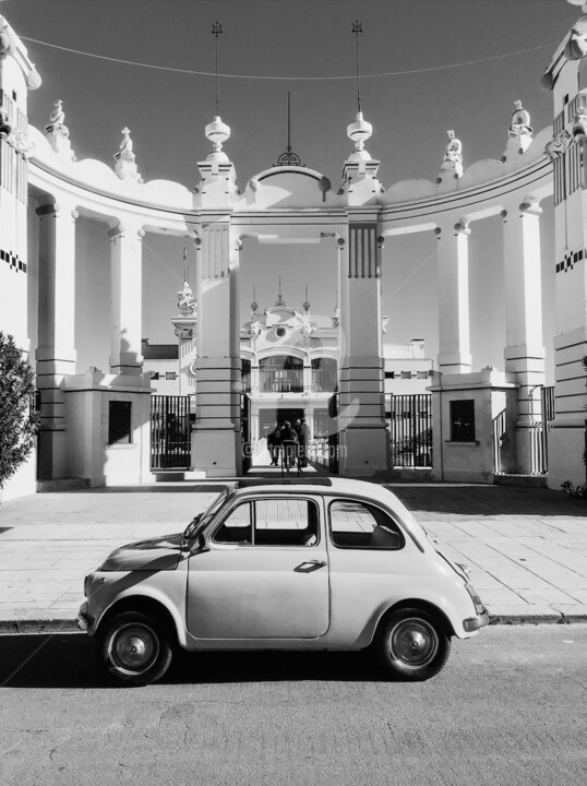DOLCE VITA Fotoğraf, 15,8x11,8 in