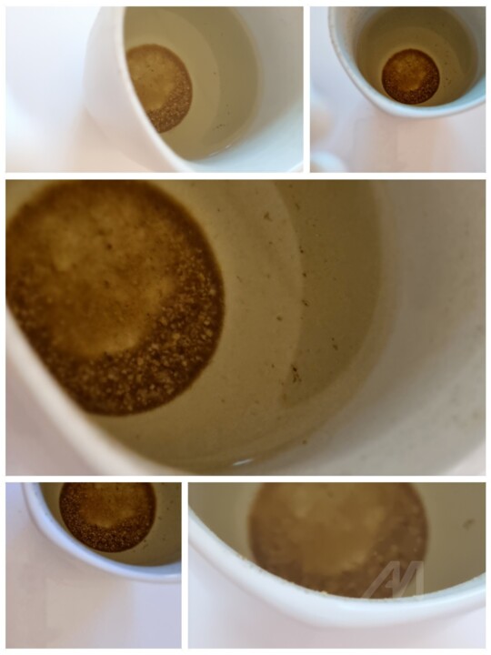 The Shape of a cup 摄影