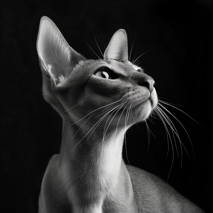 Oriental Shorthair Cat 数字艺术