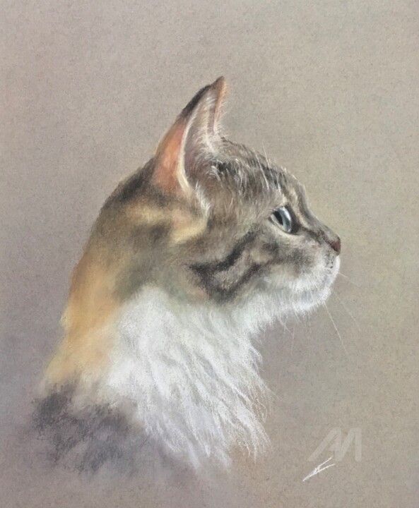图画,  9.8x7.9 in 