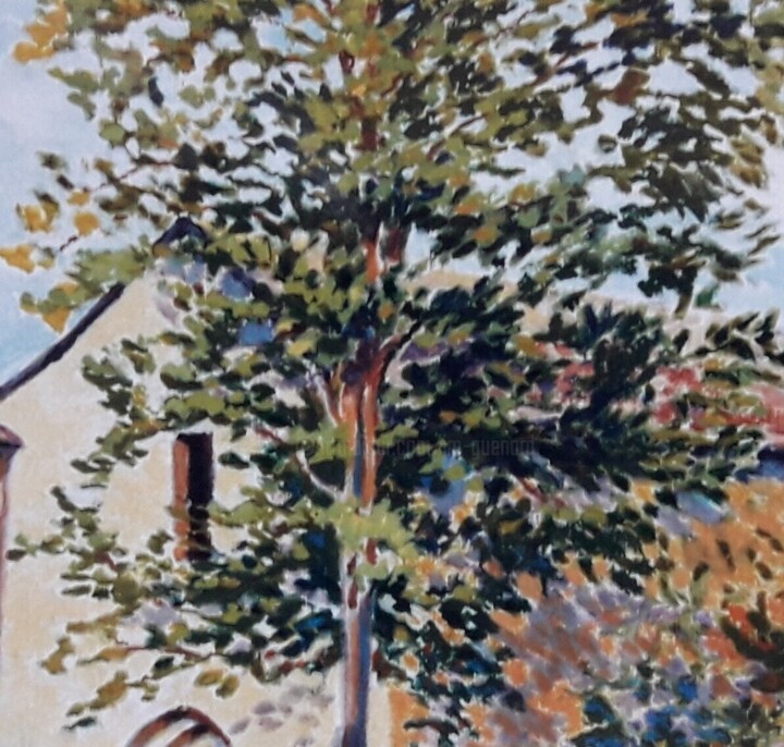 Additional views 5