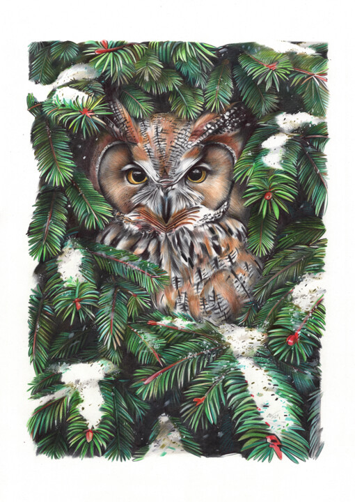 Owl in Spruce Branches 图画, 19.7x13.8 in