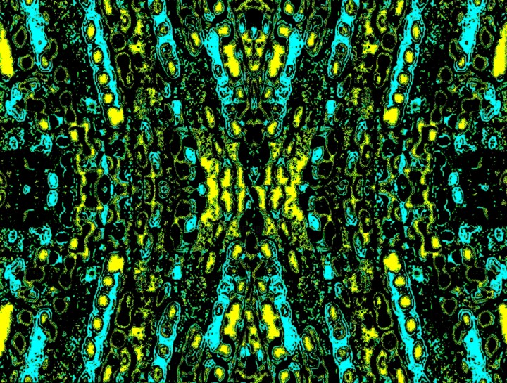 Lights in Motion 100x9b4 Fotografia, 22,7x30 in