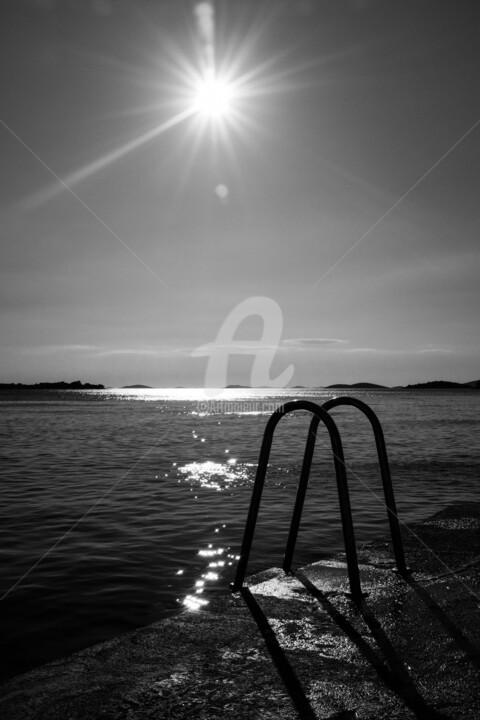 Le grand plongeon 摄影