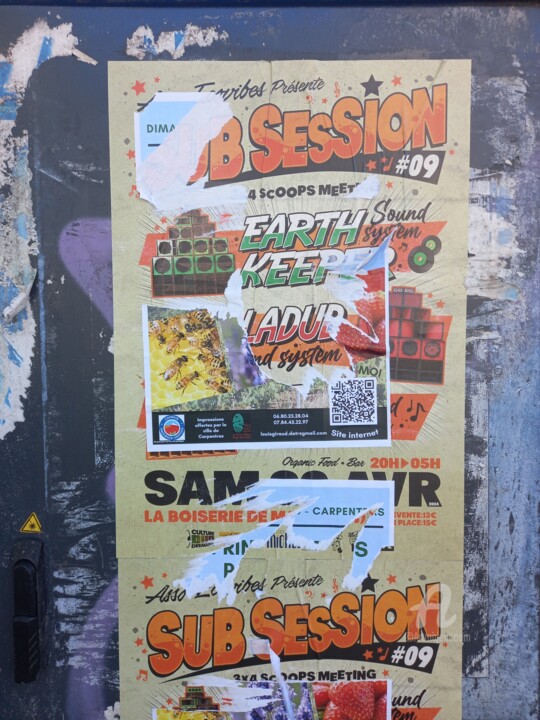 Affichage sauvage 11 摄影