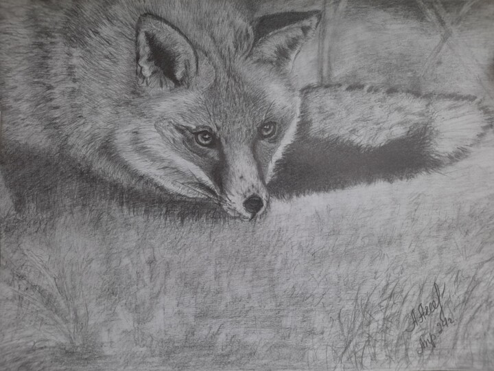 图画,  8.3x11.6 in 