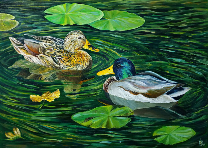 Swimming ducks 绘画, 19.7x27.6 in