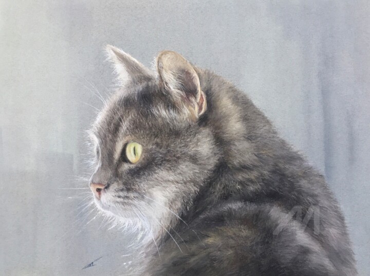 Cat look 图画, 8.9x11.8 in