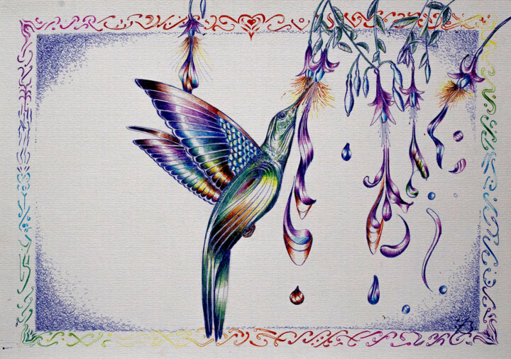 Colibri Картина, 11,7x16,5 in