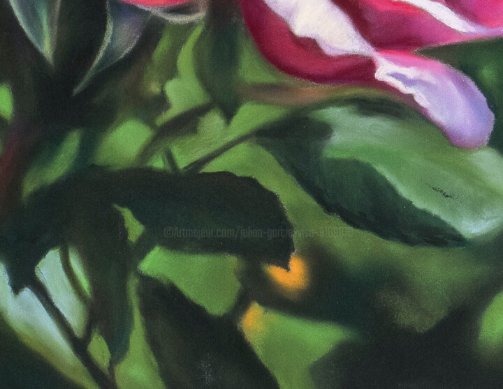 Details