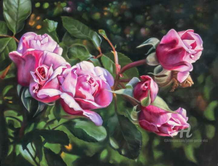 Painting titled "Rosaleda nº2" by Julian Garcia-Viso, Original Artwork, Pastel