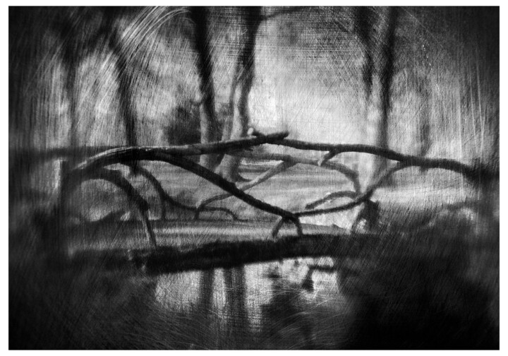 Photographie intitulée "Expérimentation #2…" par Olivier Pasquiers, Œuvre d'art originale, Photographie non manipulée