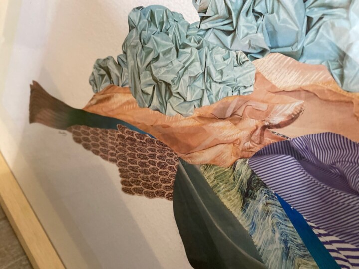 Aanvullende afbeeldingen 8