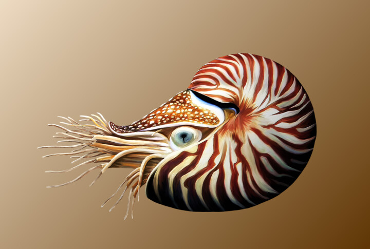 NAUTILE (JOLIESSE PARFAITE D'UNE LEGERETE ABYSSAL) 数字艺术, 18.9x28.4 in