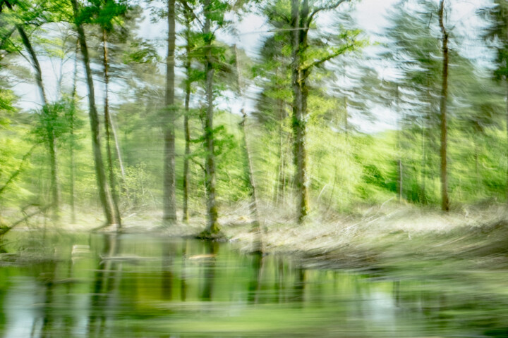 Photographie intitulée "Sologne 25.04.2018" par Anthony Thenaisy, Œuvre d'art originale, Photographie numérique