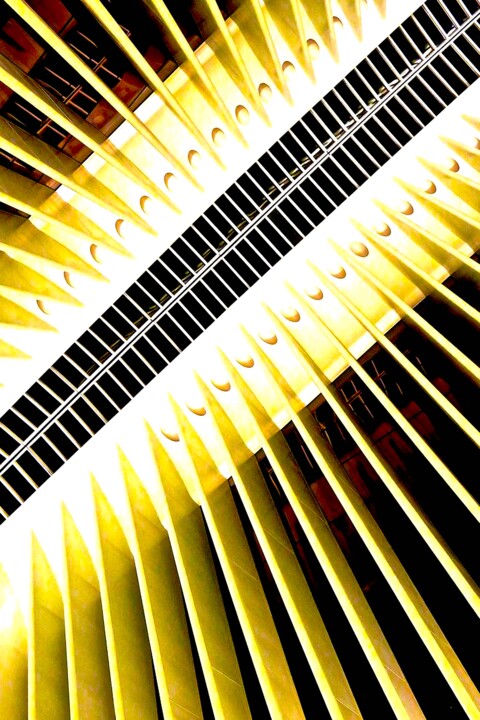 Oculus 7 Photography, 30x20 in