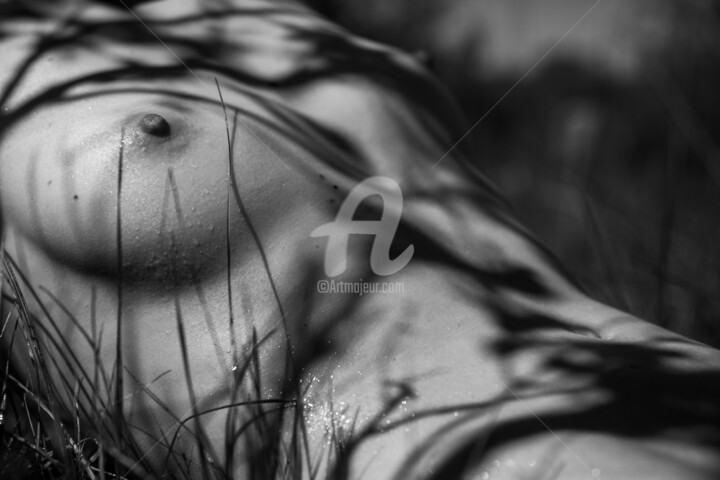 Esquisse au soleil 摄影