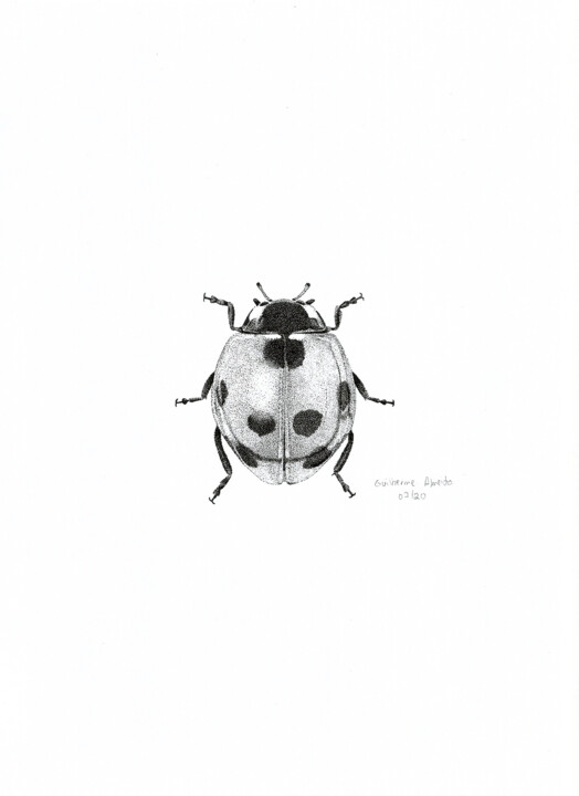 INSETO Nº 7 图画, 11.4x8.3 in