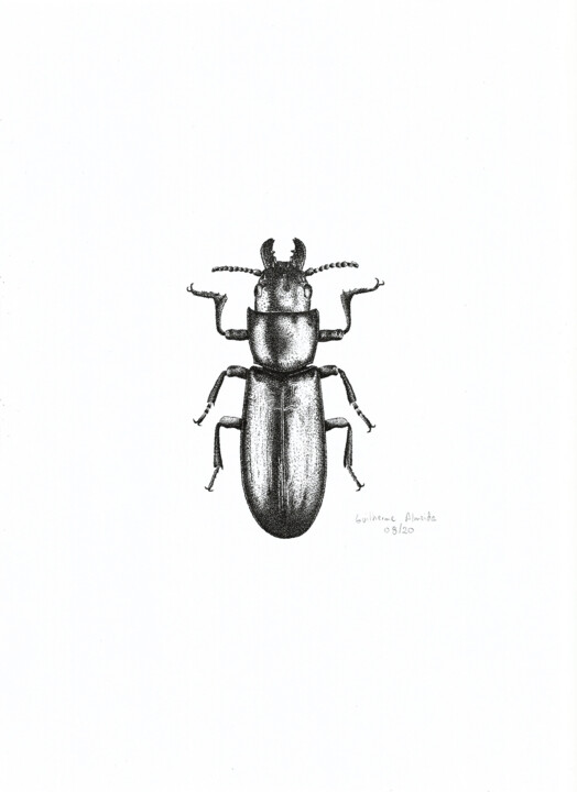 INSETO Nº 8 图画, 11.4x8.3 in