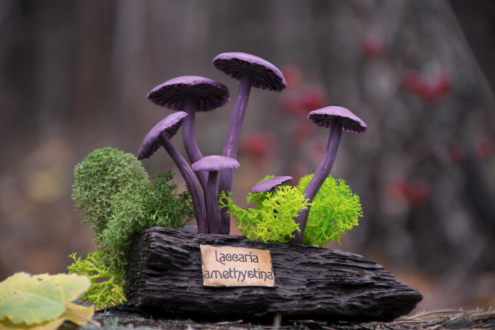 Laccaria Amethystina. Scientific Botanical Sculpture Sculpture, 4,1x5,9 in