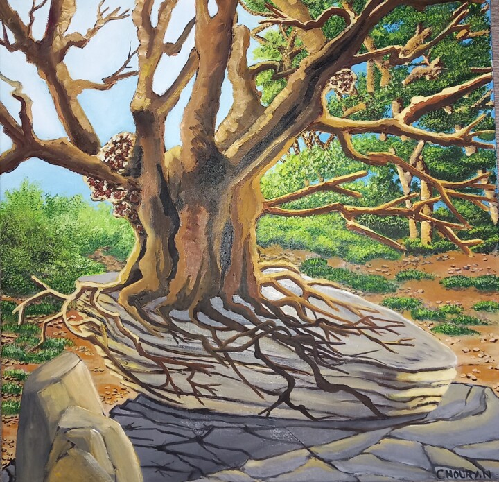 Arbre sur un rocher 绘画, 19.7x19.7 in