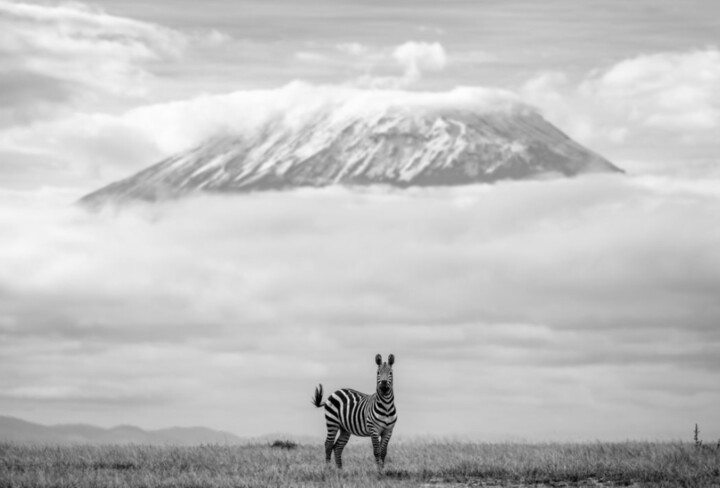 PEGASUS Fotoğraf