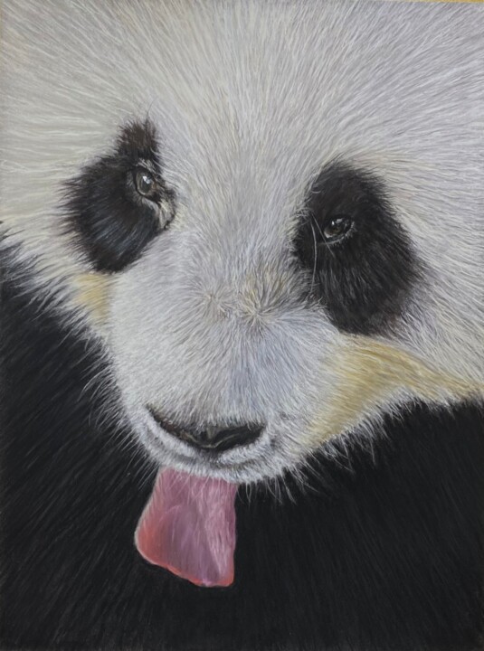 Le regard du Panda 绘画, 15.8x11.8 in