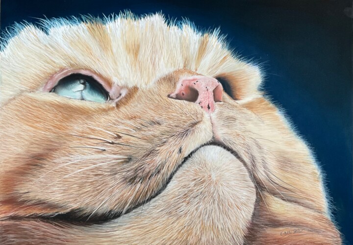 绘画,  19.7x27.6 in 