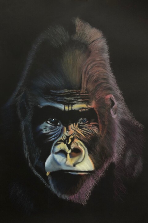 Le gorille 绘画, 39.4x27.6 in