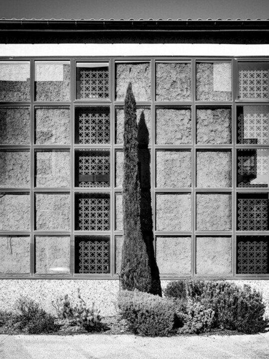 Dans les rues " X2427" 摄影, 15.8x11.8 in