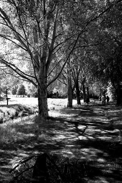 Φωτογραφία με τίτλο "Walking through the…" από Davide Novello, Αυθεντικά έργα τέχνης, Ψηφιακή φωτογραφία