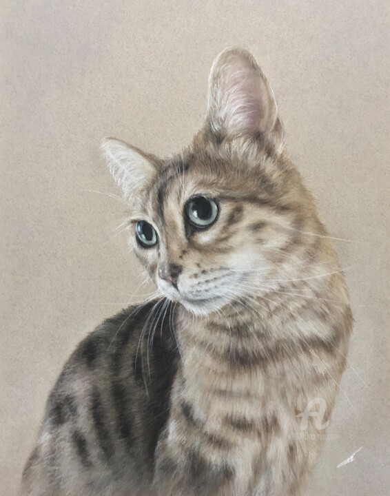 Disegno,  12,6x9,8 in 