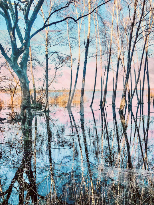 EN PASSANT 摄影, 19.7x15.8 in