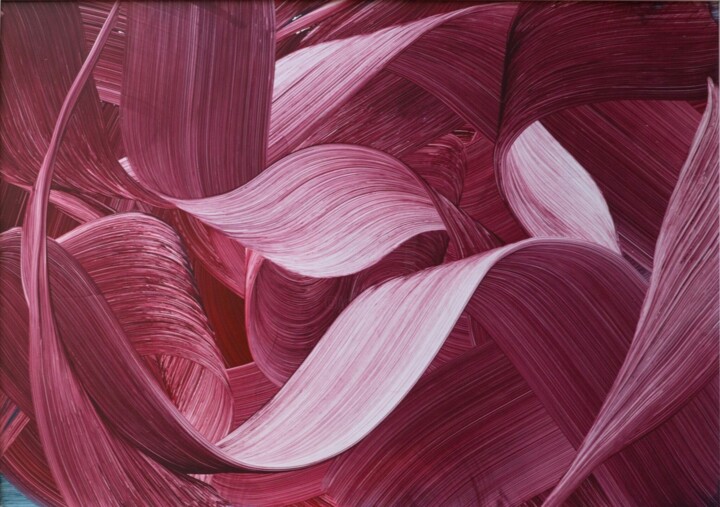 Aanvullende afbeeldingen 5