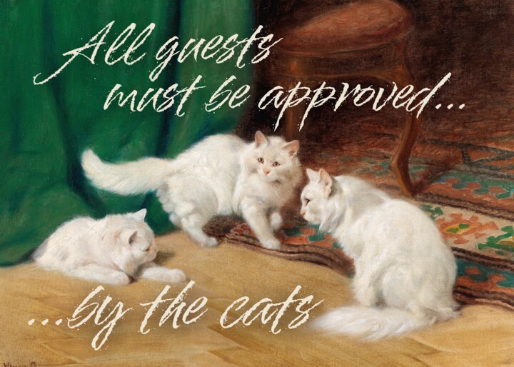 All guests must be approved by the cat - Conversation Cats 数字艺术