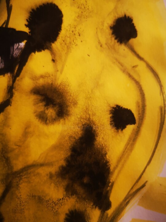 Détails