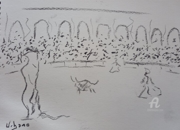 Sévilla plaza de toros 图画, 8.3x11.8 in