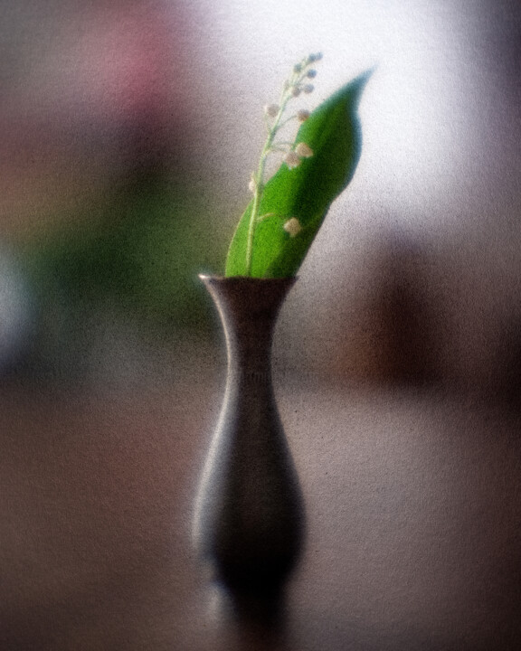 Muguet Fotografie, 19,7x15,8 in
