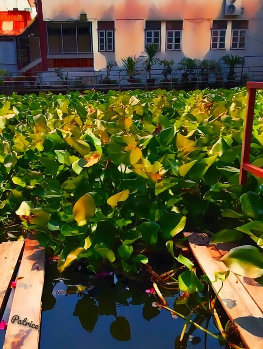 Digital Arts titled "Spirituality in Nat…" by Patrick John Bennett (Patrice), Original Artwork, Digital Photography