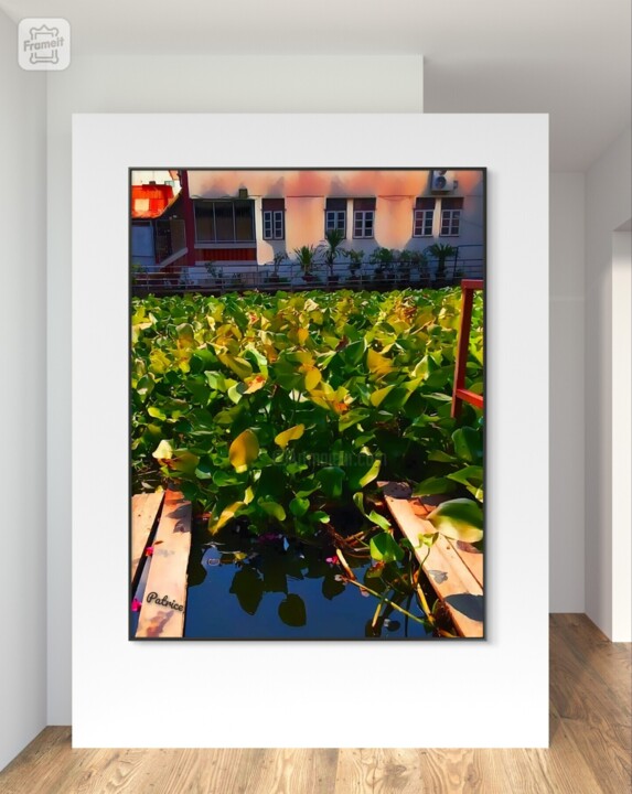 Artwork in situation