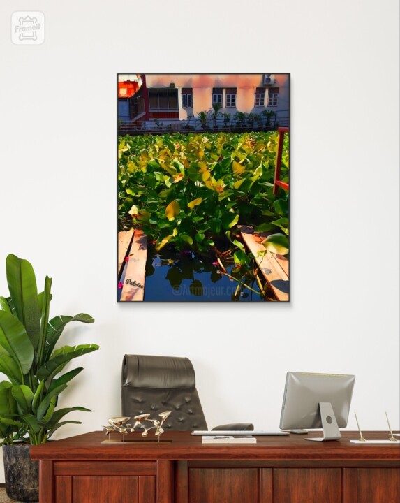 Artwork in situation