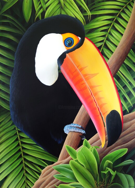 Toco 绘画, 27.6x19.7 in