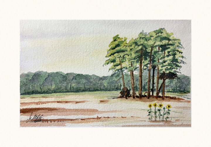 绘画 标题为“Trees in the field” 由Maciej Kłosowski, 原创艺术品, 水彩